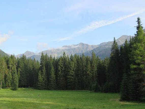 Polanę Zwierówka (słow. Zverovka)