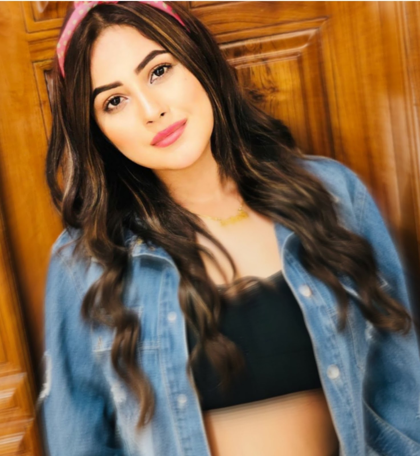 90% ABOUT SHEHNAZ KAUR GILL THINGS YOU DON'T KNOW - THE SCRAMBLER