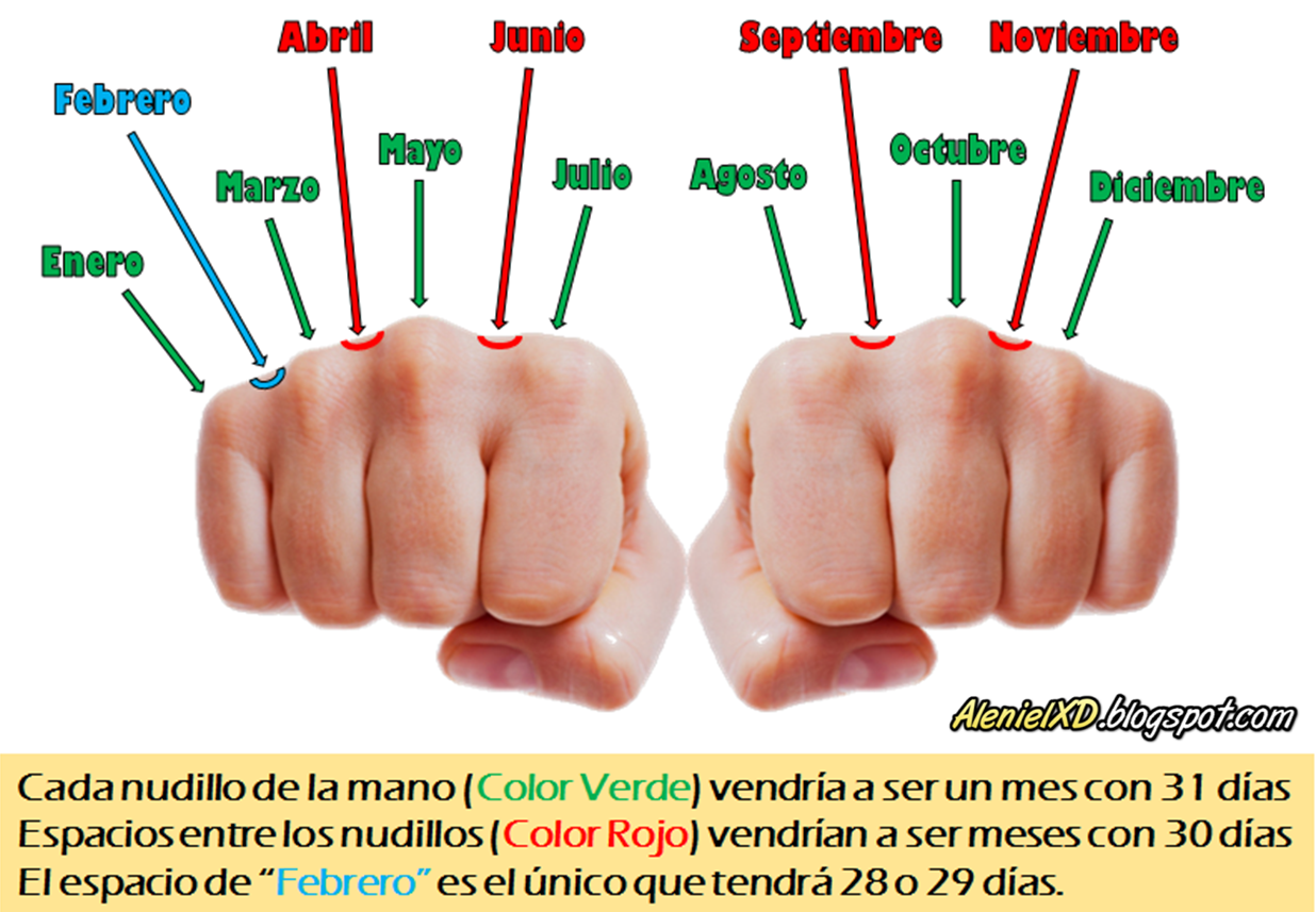 Aleniel XD C mo Saber Cu ntos D as Tiene El Mes Sin Ver El Calendario Aleniel xd c mo saber cu ntos d as tiene el mes sin ver el calendario