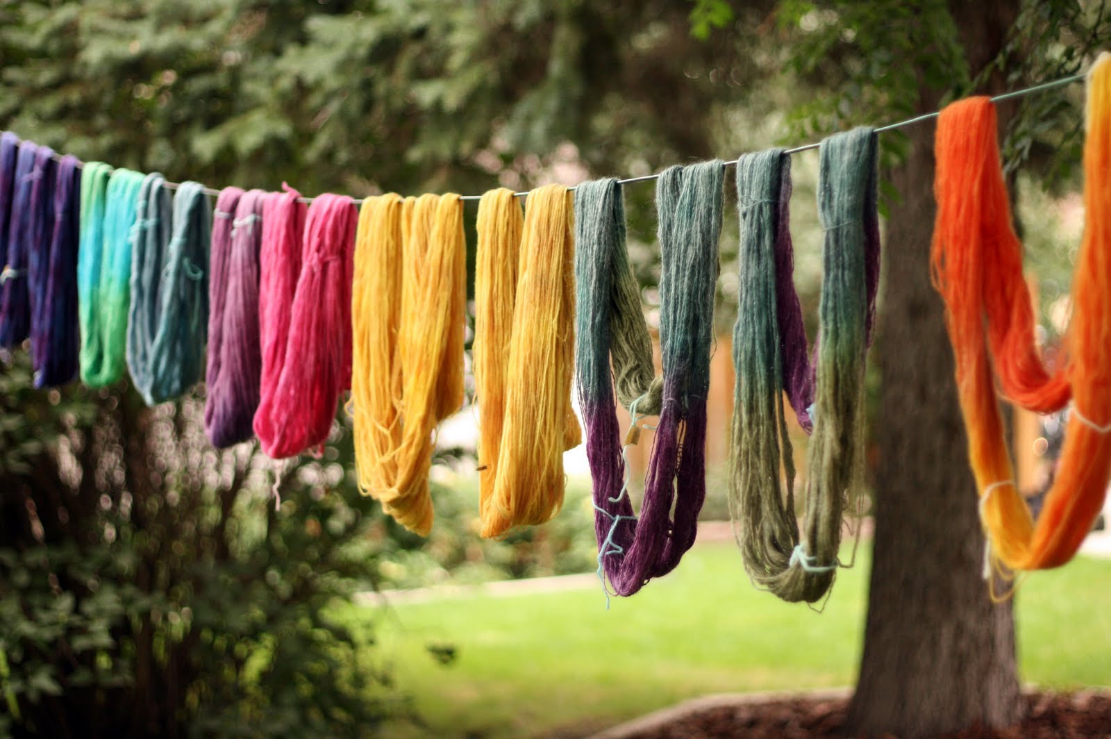French Press Knits Yarn Dyeing