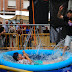 ¡Gallegos al agua! Las fiestas de Santiago ponen a remojo a niños y adultos
