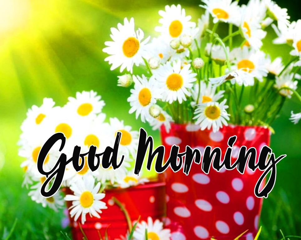 good morning 3d wallpaper free download