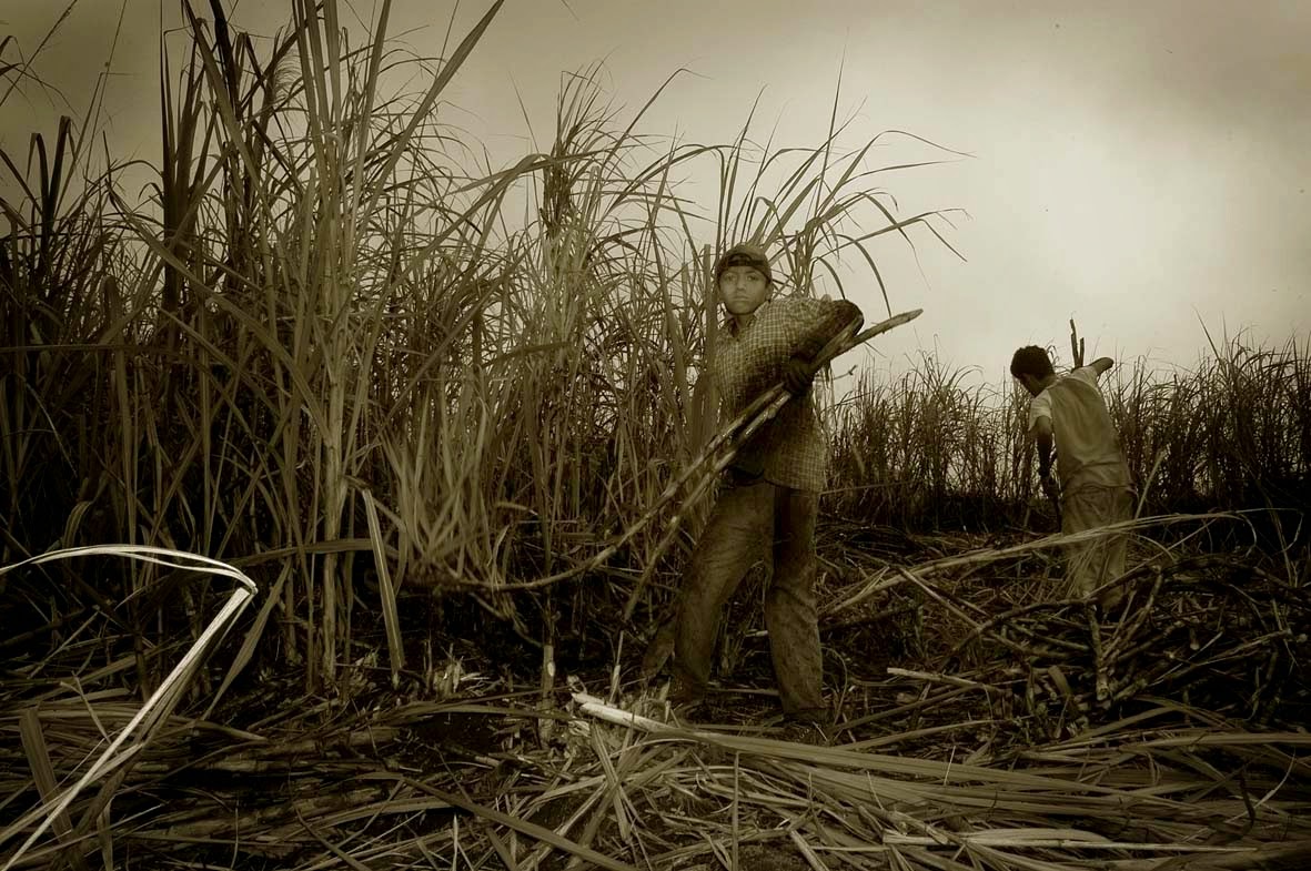 Poema RETRATO DE MI PADRE EN MEDIO DE UNA ZAFRA, de Victor Toledo.Carlos Morales, "Coexistencia (Antología de poesía israelí –árabe y hebrea– contemporánea”, Ed. El Toro de Barro, Carlos Morales ed. Poema RETRATO DE MI PADRE EN MEDIO DE UNA ZAFRA, de Victor Toledo.Carlos Morales, "Coexistencia (Antología de poesía israelí –árabe y hebrea– contemporánea”, Ed. El Toro de Barro, Carlos Morales ed.