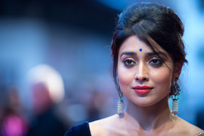 Bollywood celbs at 'Midnight's Children' Premiere at 56th BFI London Film Festival