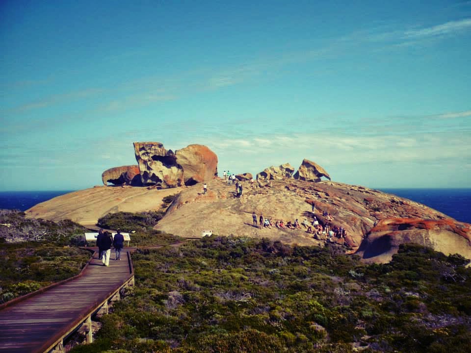 Is Kangaroo Island Worth Visiting? Travelling Weasels