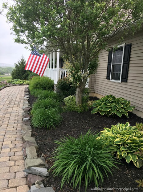 gardening tips grow