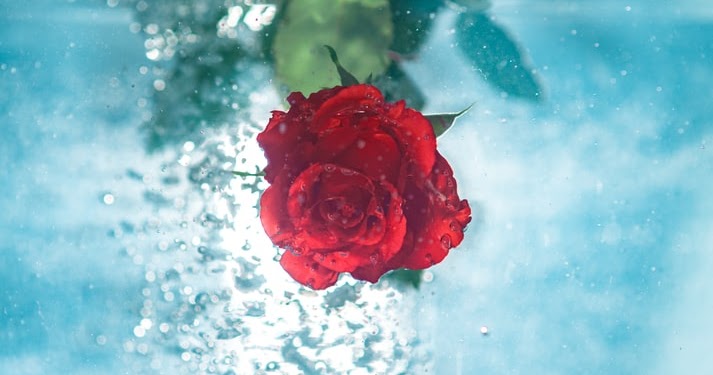 Pantun GOMBAL Greget Banget 2 Dan 4 Baris microgist