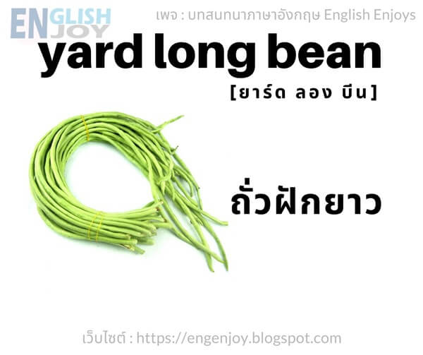 38 คำศัพท์ผักต่างๆ ภาษาอังกฤษ (Vegetables) ~ บทสนทนาภาษาอังกฤษ (English  Conversation)