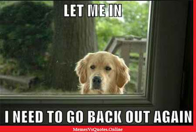 Here you get the best "Let Me In Memes" that makes you laugh in a second. These are the best and unique memes, I hope you love it. Check Out. Let Me In Memes