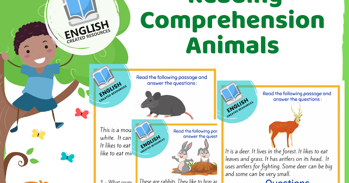 Reading Comprehension - English Created Resources