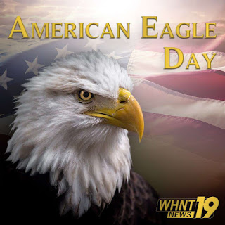 National American Eagle Day HD Pictures, Wallpapers