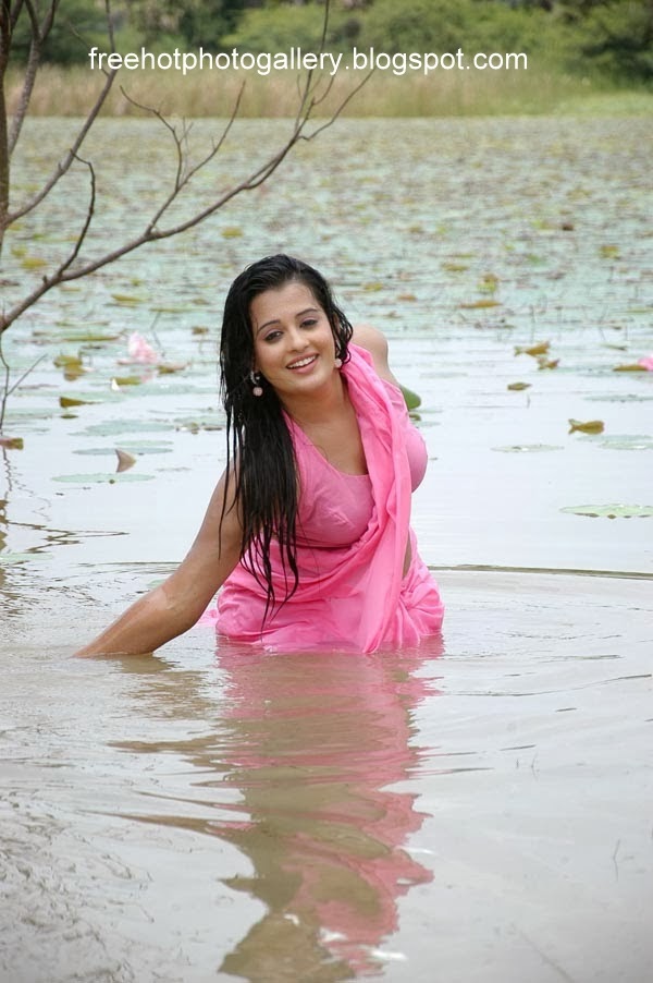 Hot And Sexy Photo Gallery For All Over The World Actress Roopika Hot N Spicy Picture In Wet