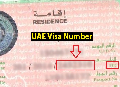 uae tourist visa file number