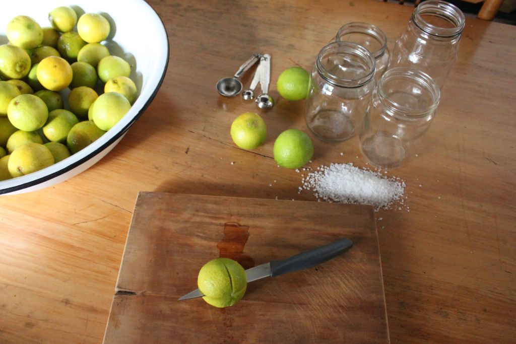 Towerwater Aan De Breede Pickled Limes and superstitions