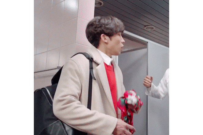 LawfulReasonableCanary-size_restricted.g