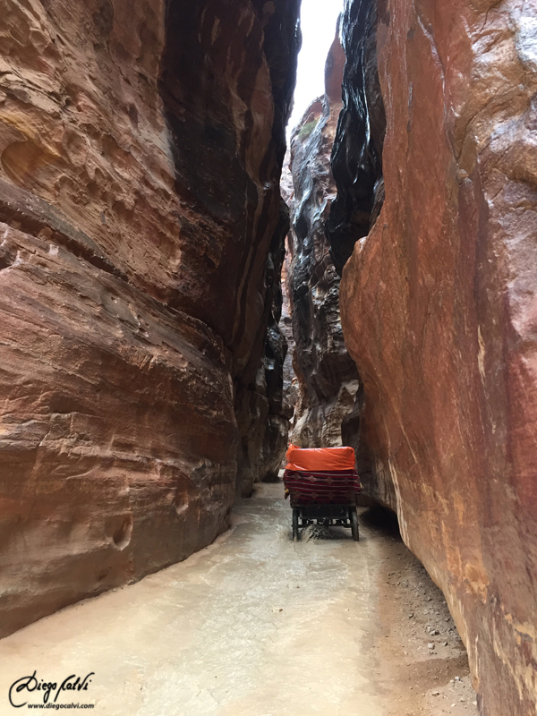 Las Tierras rojas de Jordania - Blogs of Jordan - Visita a la Ciudad de Petra (10)