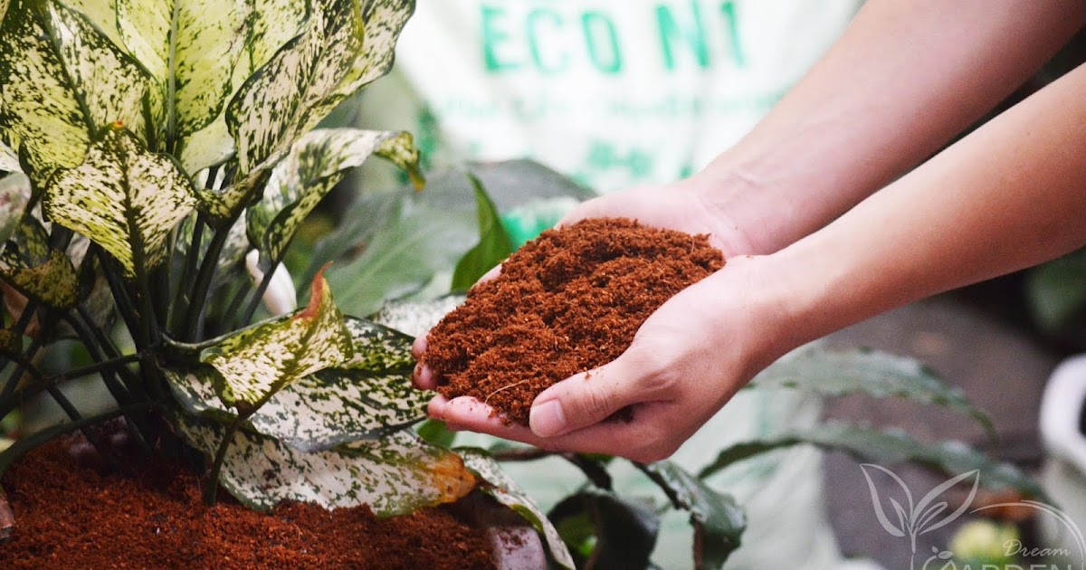 BENEFITS OF COCONUT FIBER IN TREE PLANTING