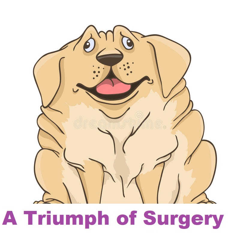 CBSE Papers, Questions, Answers, MCQ ...: Class 10 English: A TRIUMPH OF  SURGERY (THEME, SYNOPSIS and CHARACTER SKETCH) #class10English #eduvictors  #cbse2021