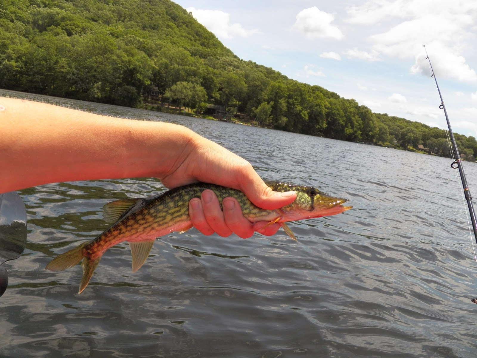 Connecticut Fly Angler Great Hill Pond