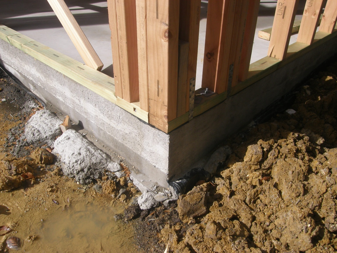 Reflections on Auckland Planning: House on a Raft Foundation