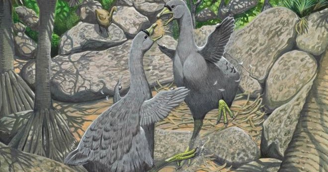 34+ Burung dodo punah terupdate