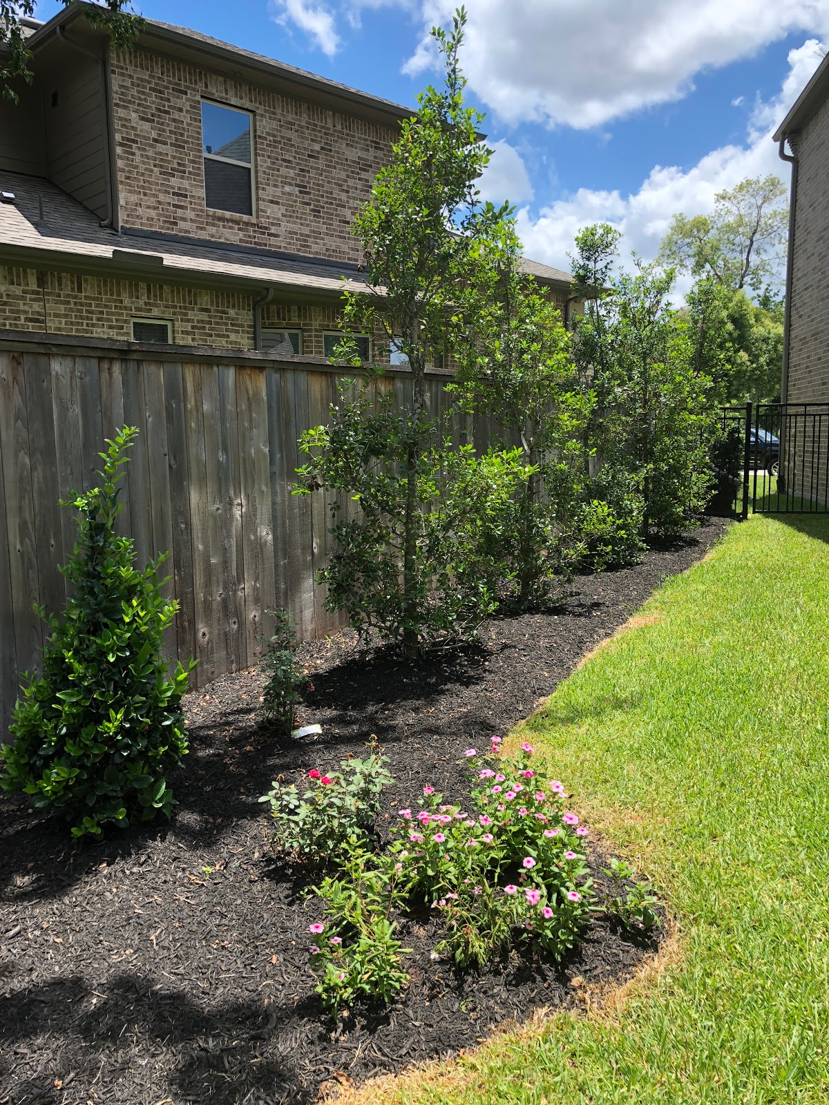 Wife Mother Gardener Spring Combination Forsythia And
