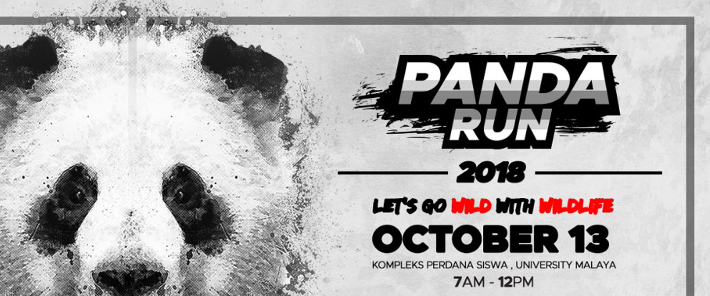 RUNNERIFIC Panda Run 2018