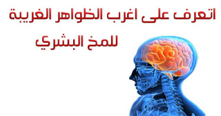 اغرب الظواهر الغريبة للمخ البشري