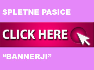 spletne pasice ali bannerji