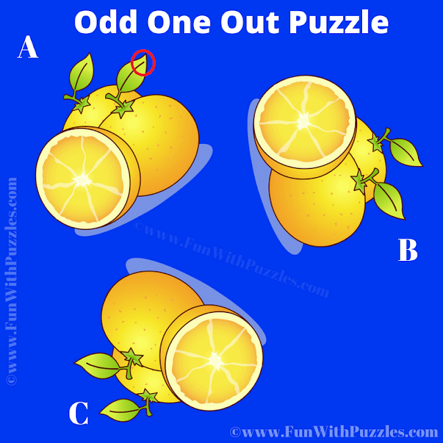 Answer of Observational Odd One Out Puzzle for Teens Tasty Odd One Out Orange Observational Picture Puzzle Answer