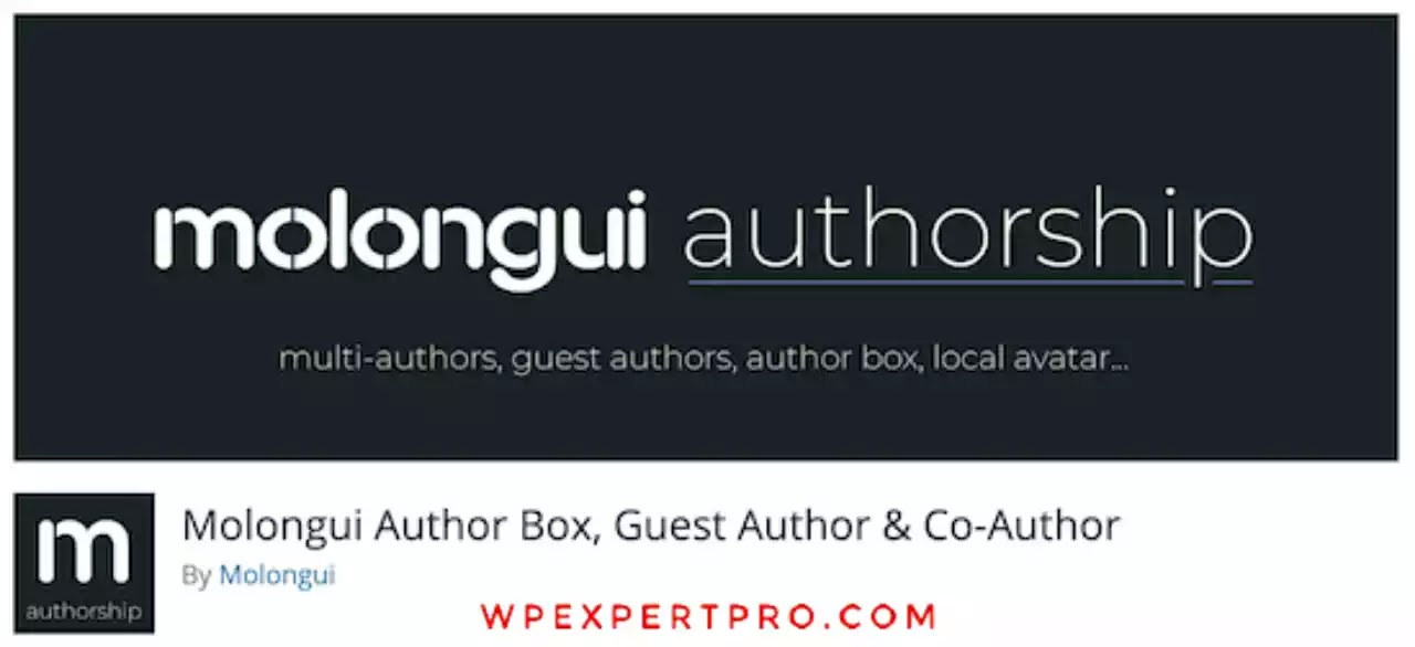 6. Molongui Authorship 6. Molongui Authorship