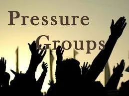 Definition, Examples, and Functions of Pressure and Interest Group