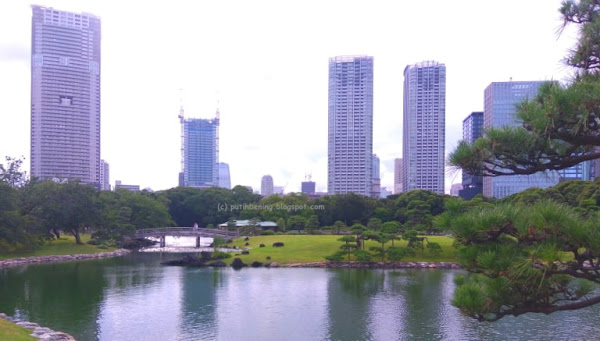 Wisata Tokyo Dan Sekitarnya Yang Terkenal dan Cantik Wisata Tokyo Dan Sekitarnya Yang Terkenal dan Cantik