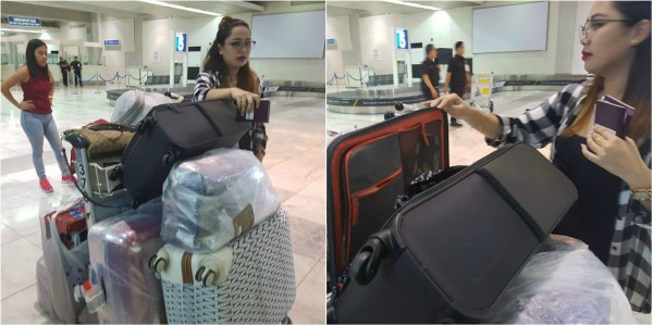 hand carry baggage pal