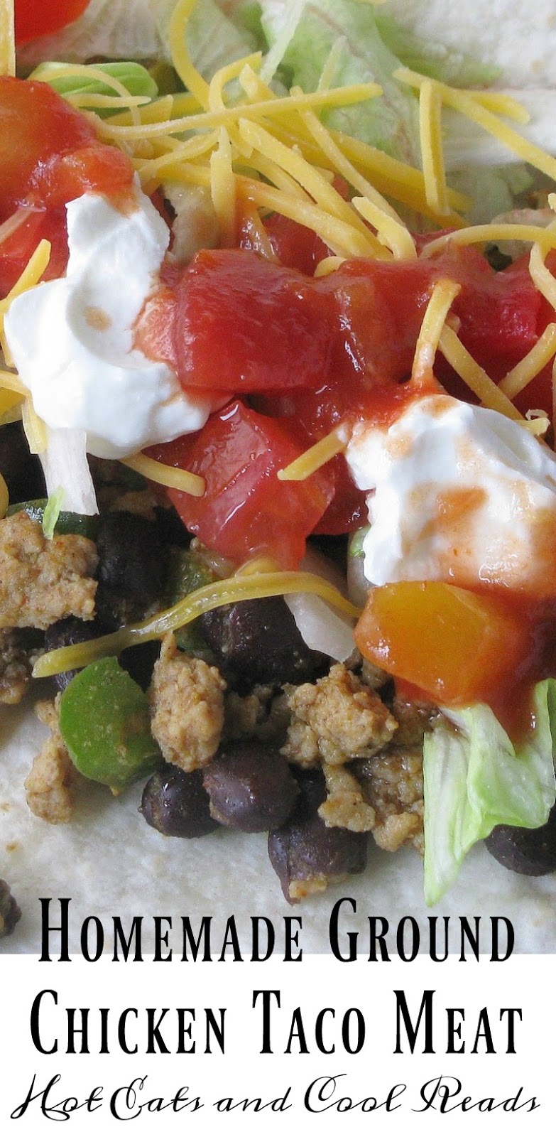 Homemade Ground Chicken Taco Meat Recipe