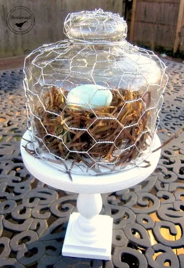 Chicken wire over glass on pedestal dish