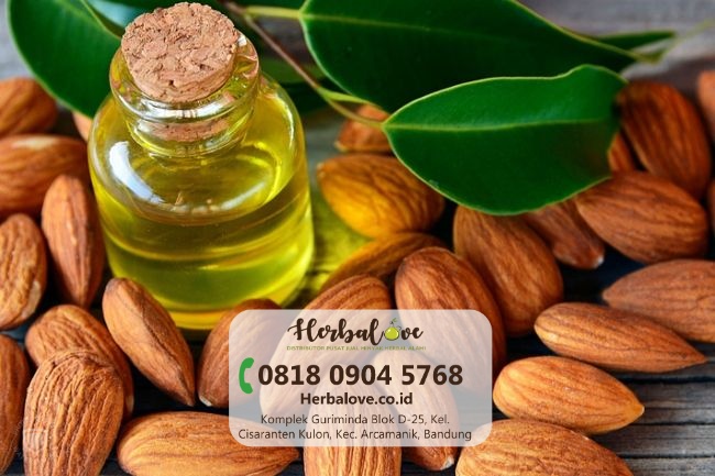 distributor minyak almond Denpasar” height=