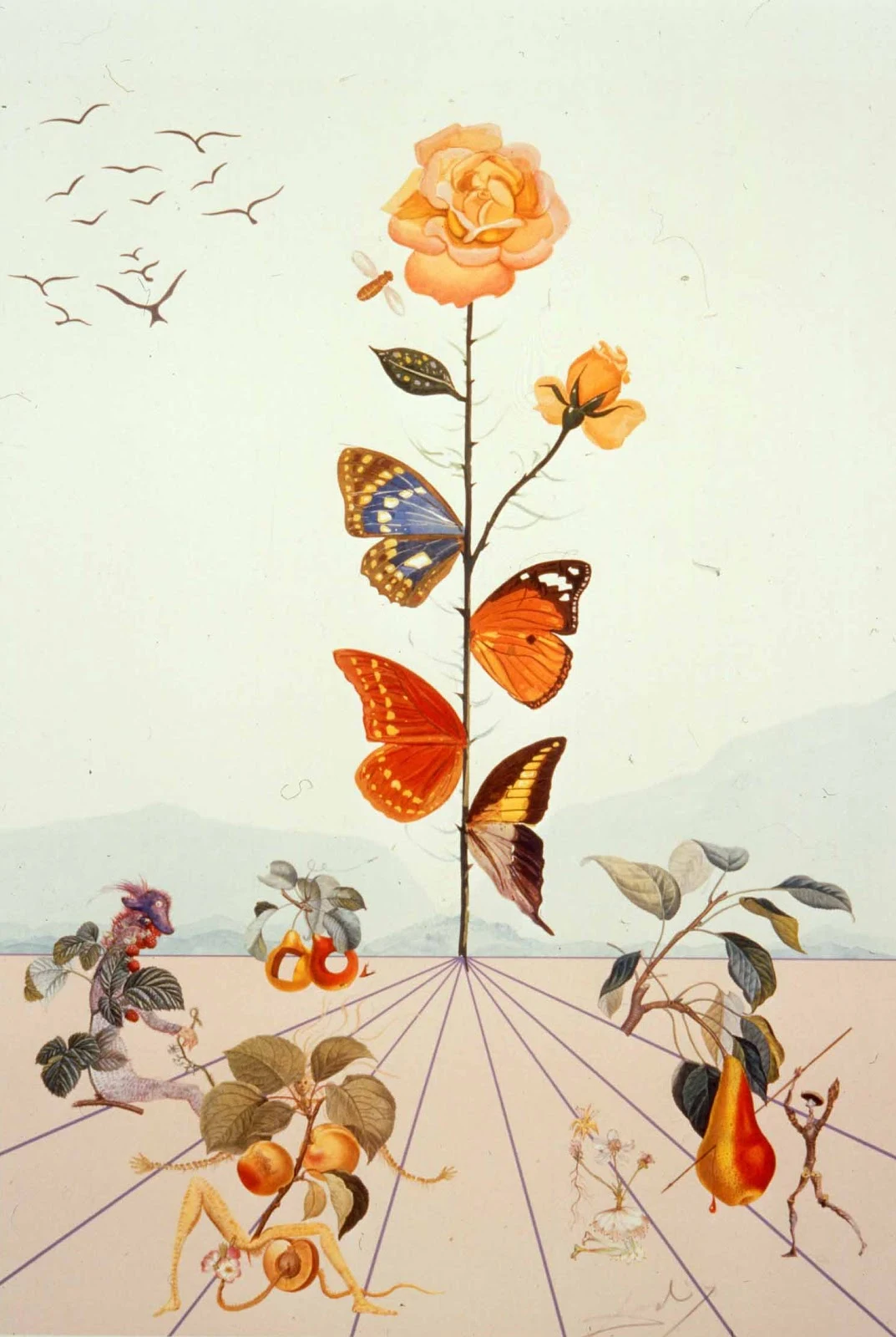 Salvador-Dali-Rosa-Papilio-1968-1