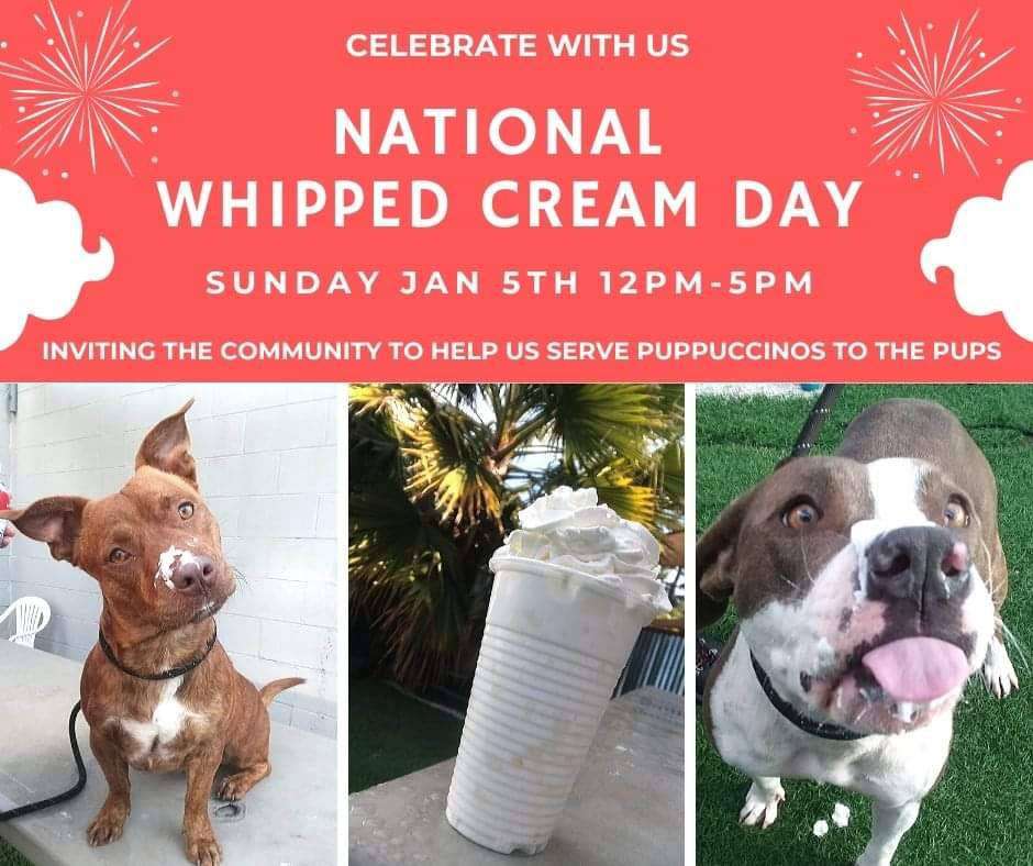 National Whipped Cream Day Wishes Images