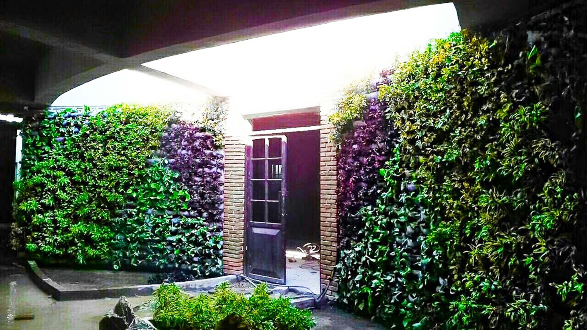 Tukang Taman Jakarta Harga Murah