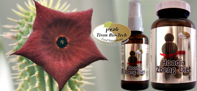 פרחי הודיה להורת משקל