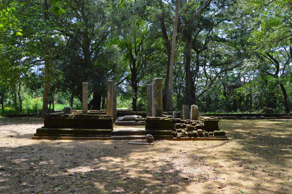 DSC_0532%2Bcopy.jpg
