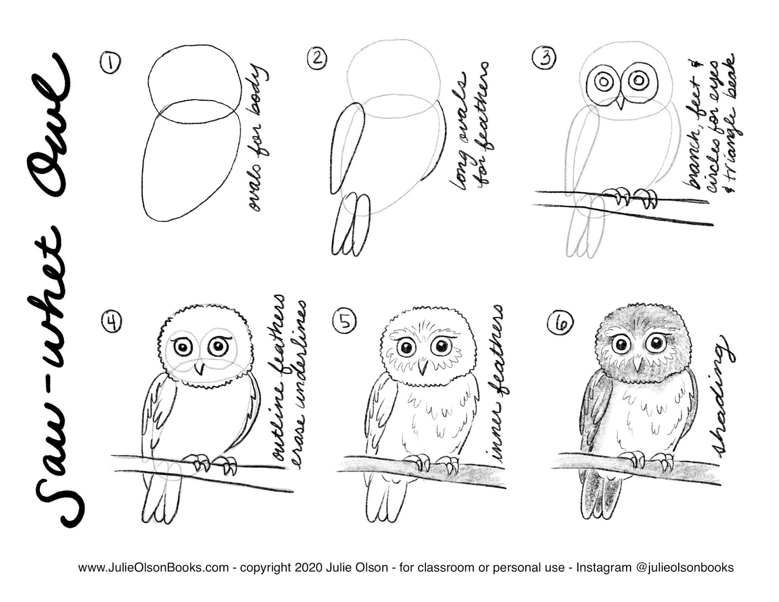 an owl with feathers drawn