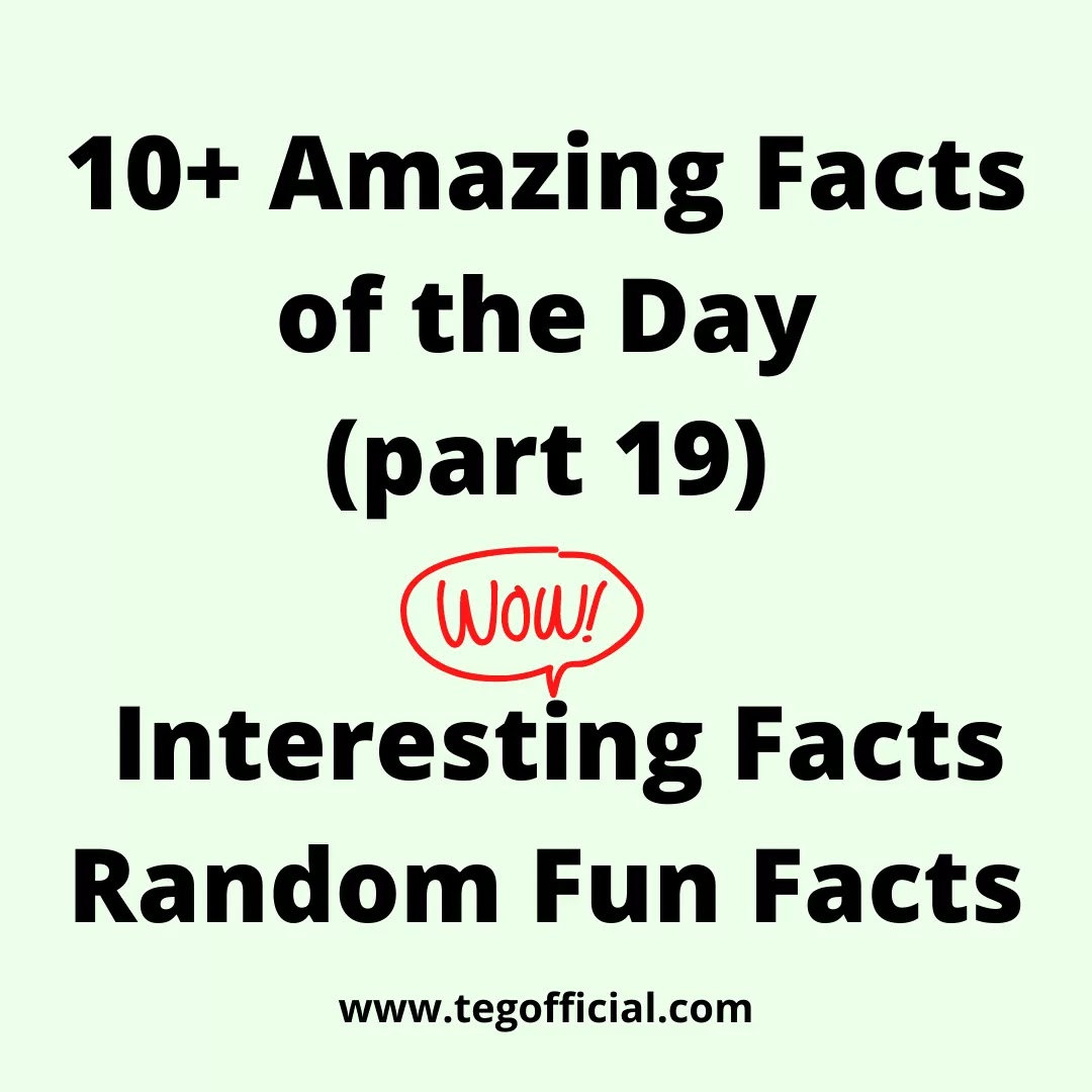 10+ Amazing Facts of the Day Interesting Facts Random Fun Facts