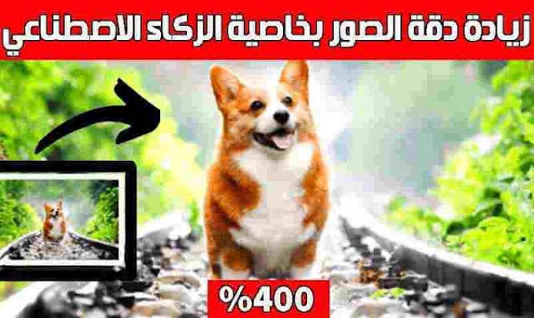 كيفية زيادة دقة الصور باستخدام خاصية الزكاء الاصطناعي بنسبة تصل إلى 4 أضعاف حجمها أونلاين كيفية زيادة دقة الصور باستخدام خاصية الزكاء الاصطناعي بنسبة تصل إلى 4 أضعاف حجمها أونلاين