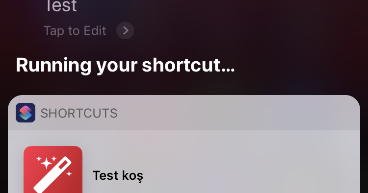 Siri says “sorry, there was a problem with the app” on iPhone XS/iPad