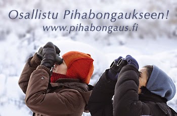 http://www.pihabongaus.fi/