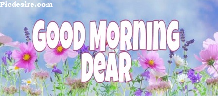Good Morning Dear | 30 Good Morning My Dear Images Good Morning Dear | 30 Good Morning My Dear Images