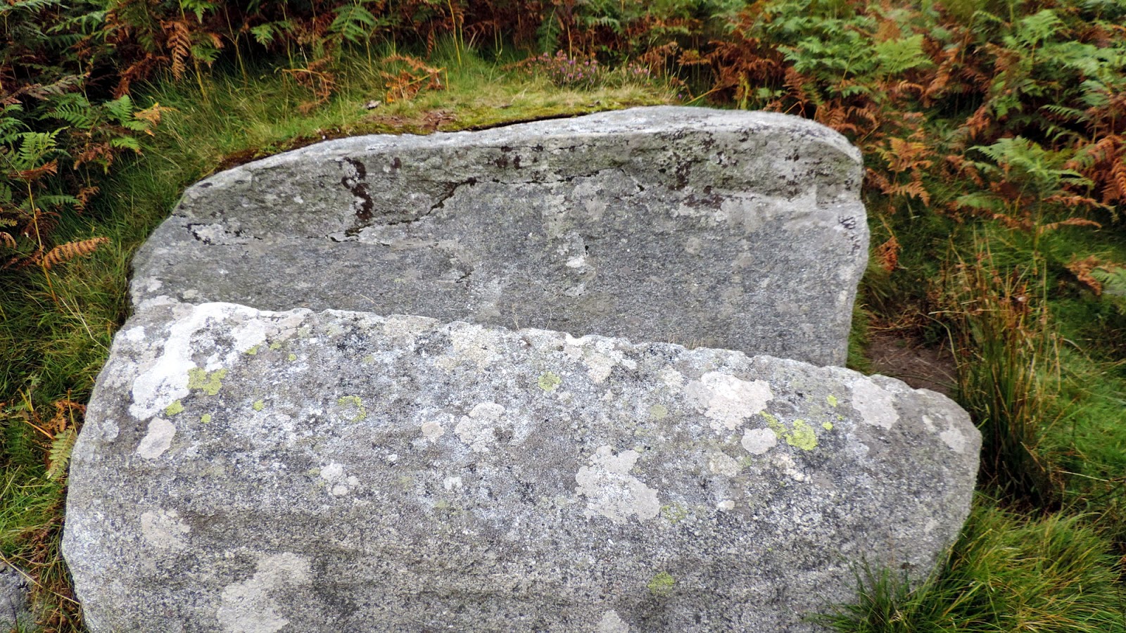 The Glebe Blog: Wigtownshire Ramblers Cairnharrow and Cambret Hills ...