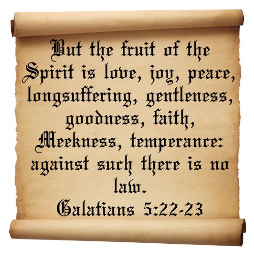 TAG Fruit of The Spirit, Temperance,